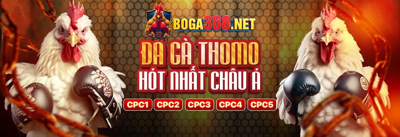 Giao diện cá cược đa dạng các môn thể thao tại 555win