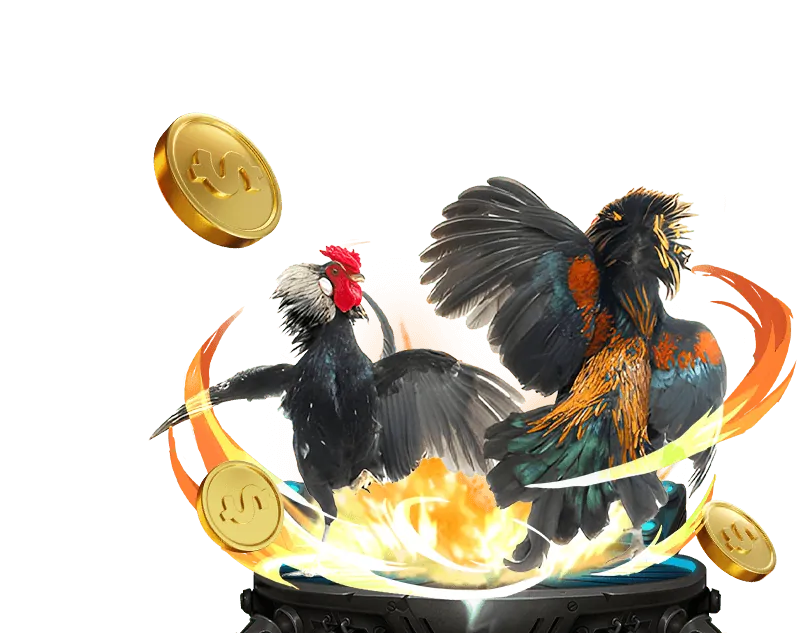 Đa dạng sản phẩm cá cược tại 555win