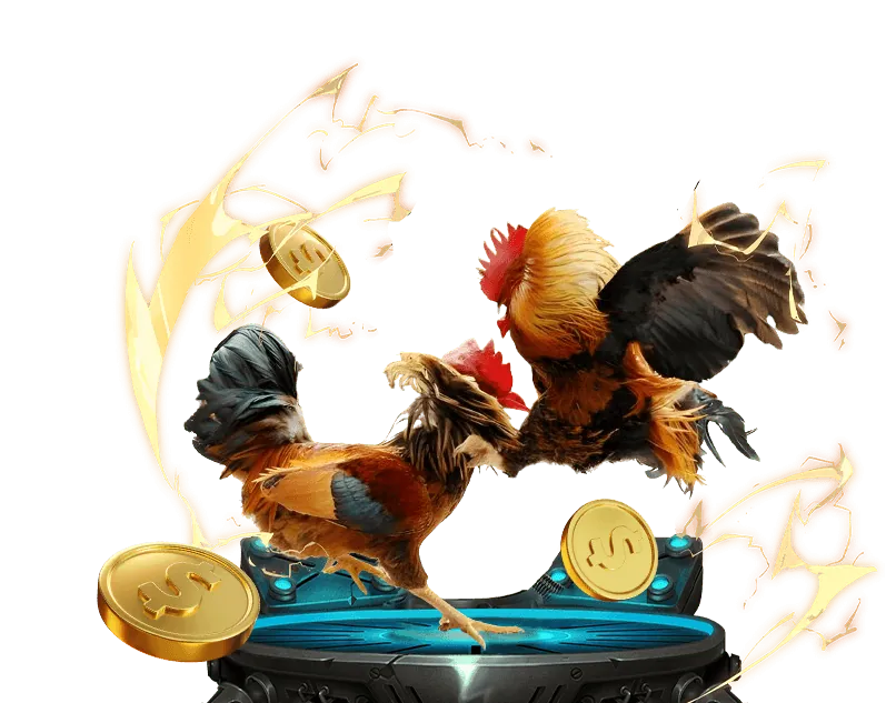 Điền thông tin đăng ký 555win